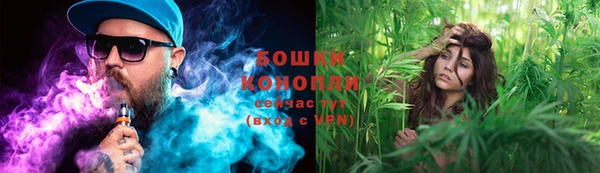 mix Богородск