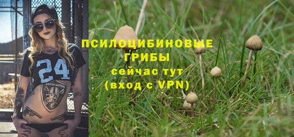 амфетамин Богородицк