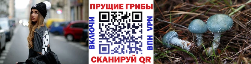 Галлюциногенные грибы GOLDEN TEACHER  omg маркетплейс  Самара 